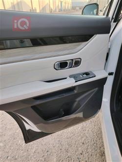 جيتور داشينج